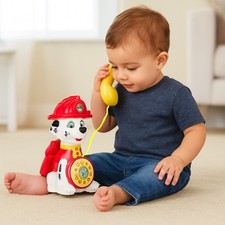 Paw Patrol Marshall Musical