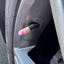 Novelty Car Bike Tyre Willy