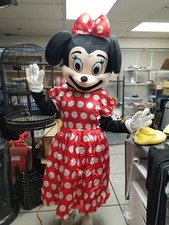 Minnie Mouse Mascot Birthday