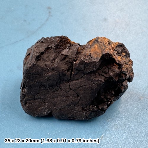 Whitby jet fossil - fossil, gemstone