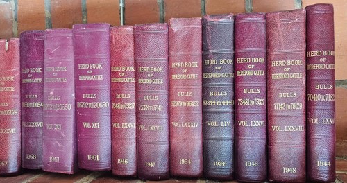 The herd book hereford - herd, of
