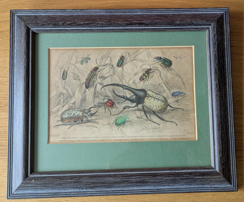 Antique victorian framed - victorian,