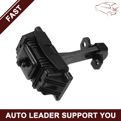 Front door check strap - front,