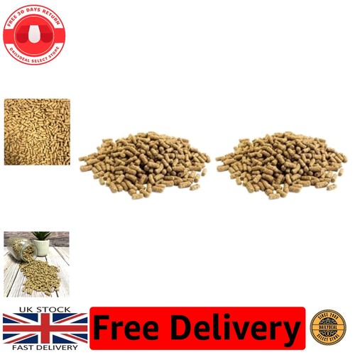 Wheatgerm spirulina pond - wheatgerm, &