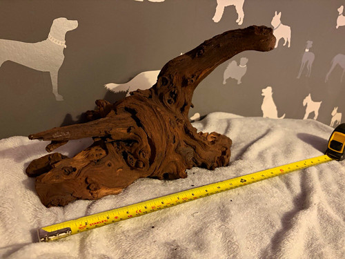 Natural driftwood wood - natural,
