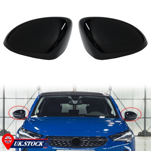 Glossy black side - glossy, wing