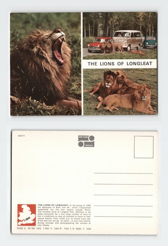 Vintage postcard longleat - vintage,