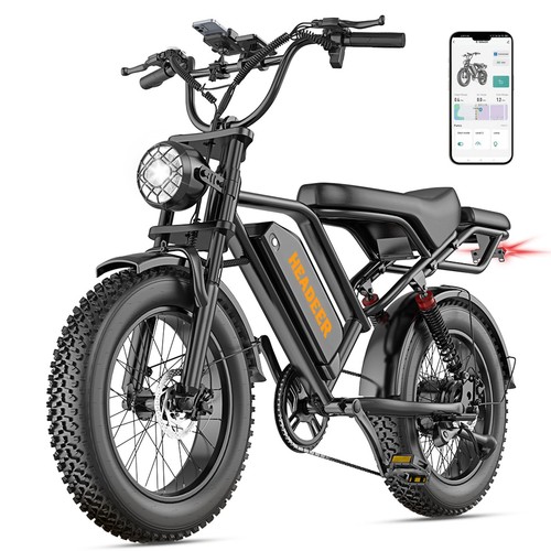 Fat tire bike - e-bike, 48v20ah