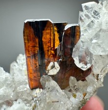 101 Ct. Full Terminated Rare