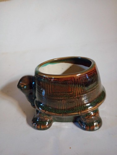 Russ home turtle - home, planter