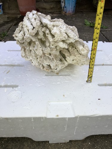 Pl6 dry tonga - dry, rock