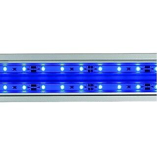 Eheim powerled actinic - actinic, blue