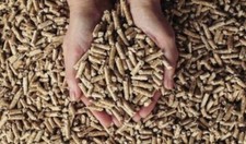 Wood Based Cat Litter 2 x 30