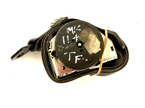 Tf seat belt - tf,