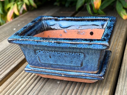 Chinese ceramic bonsai pot - bonsai, &