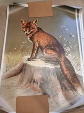 DJV Fox No 3 targets and DJV