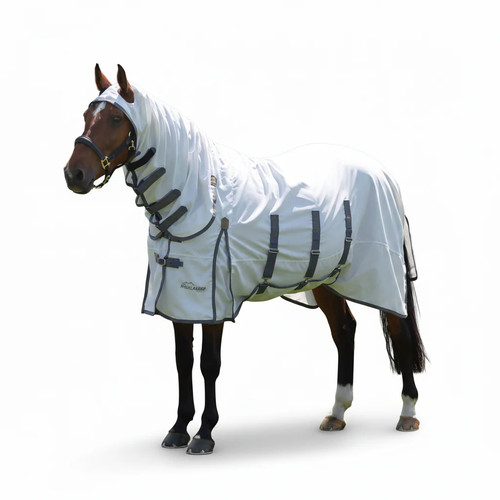 Shires highlander plus sweet - plus,