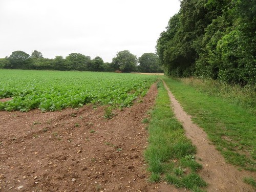 Photo 6x4 footpath along lower - 6x4,