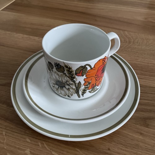 Meakin vintage ironstone - j&g,