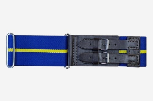 Royal horse artillery - , stable