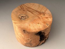 Spalted Burr Elm Wood Turning