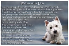 Westie pet dog memorial fridge