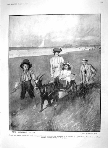 Old antique print - old,