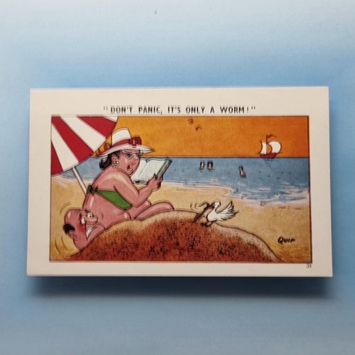 Comic postcard c1965 fat lady - fat,