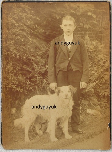 Cabinet card footman - card, servant