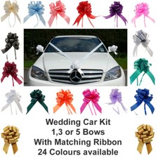 Wedding car decoration kit - car,