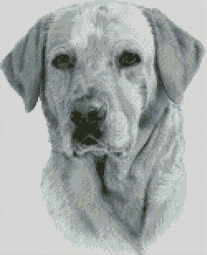 Complete counted cross stitch - cross,