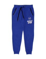 HOLLISTER Mens Graphic