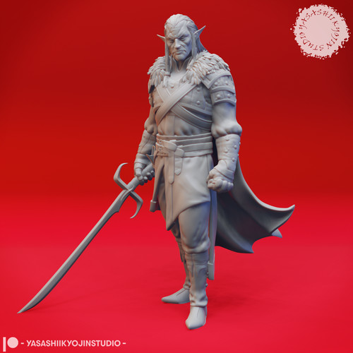 Rahadin the dusk elf - the,