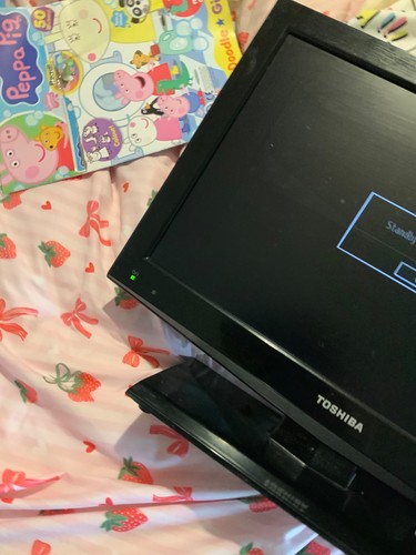 Toshiba 19bl502b 720p hd - toshiba,