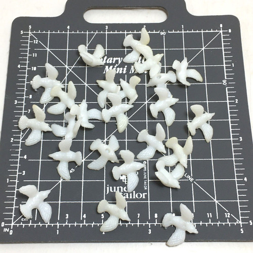 Mini doves pigeons - mini,