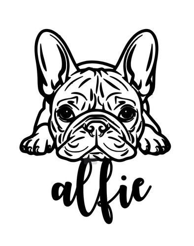 French bulldog dog - bulldog, custom