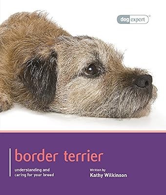 Border terrier dog expert - border,