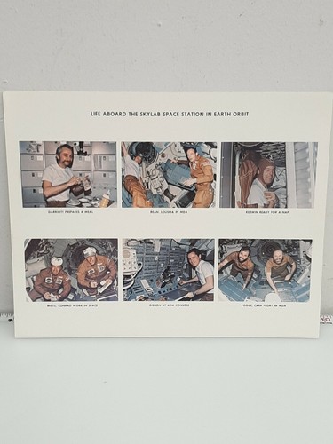 Nasa 8x10 photo life - nasa,,