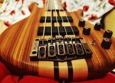 Cort A5 Custom Z Bass Guitar