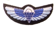 Issue Special Air Service Parachute Wings - SAS Qualified - Para Wings