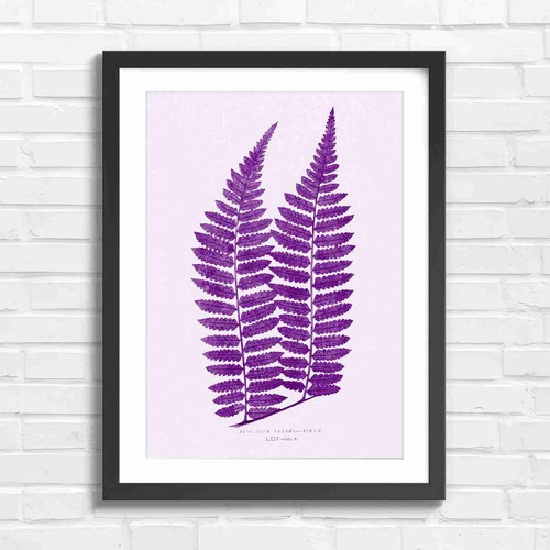 Botanical vintage fern frond - botanical,