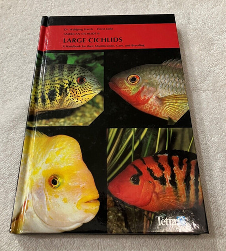 American cichlids large - american, ii: