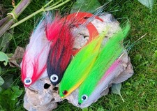 X3+x1 Wigle Tale Large Pike