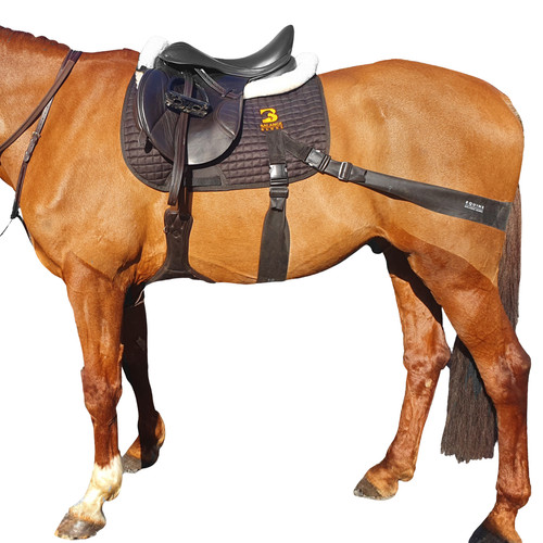 Equine balance band system pro - equine,