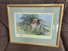 Framed David Shepherd Signed