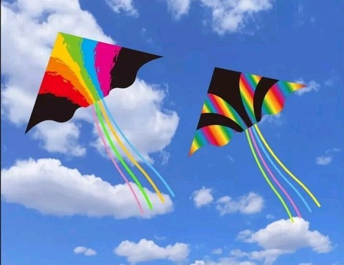Single line rainbow kite with - single,