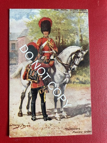 The royal scots greys - royal, greys.