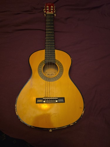 Acoustic guitar - acoustic,