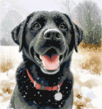 Black labrador the snow - black,