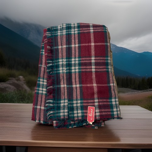 Ness tartan scarf - tartan,